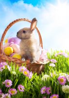 Das Märchen vom Osterhasen – Wann und wie man dem Kind die Wahrheit sagt 1 ©istock.com/Konstanttin