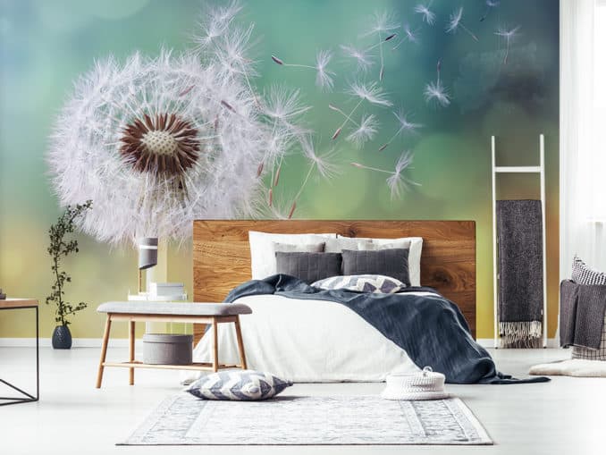 Schaffen Sie eine echte Ruhe-Oase im Eltern-Schlafzimmer 1 Fototapete fluffige Pusteblume im Schlafzimmer